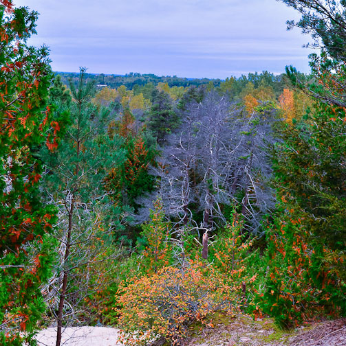 high dune